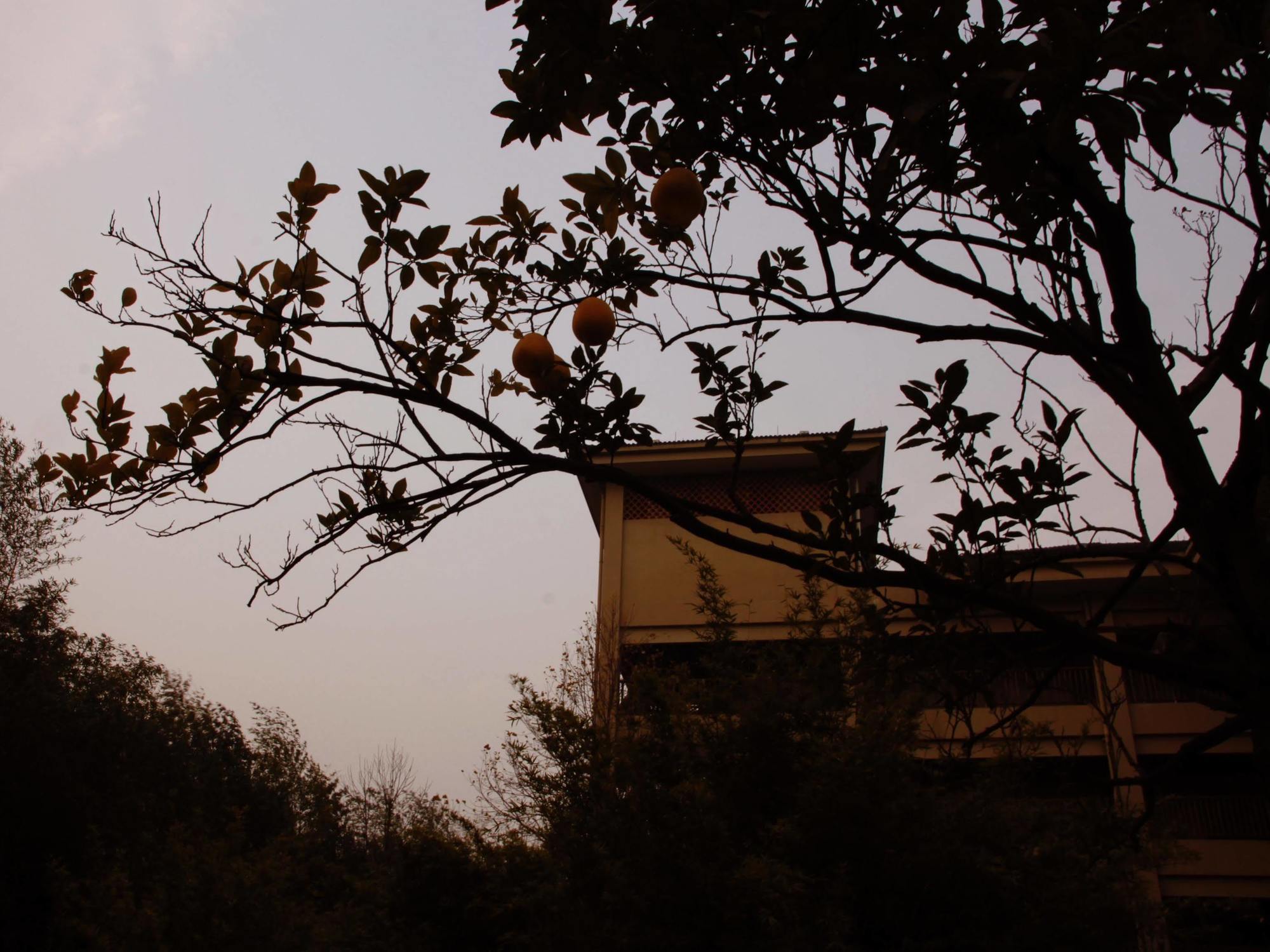Hna Resort Yunqi Hangzhou Exteriör bild